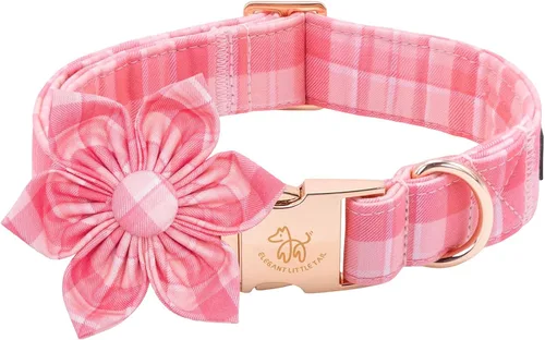Vista 18 de Collar para perro Elegant little tail de otoño, collares para mascotas de Halloween con flor, lindo estampado de calabaza, collar para cachorro B