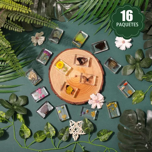 Vista 4 de 16 piezas de insectos mariposa en espécimen de resina, colección de bichos, pisapapeles, 16 estilos de espécimen real de bichos, kit de bichos