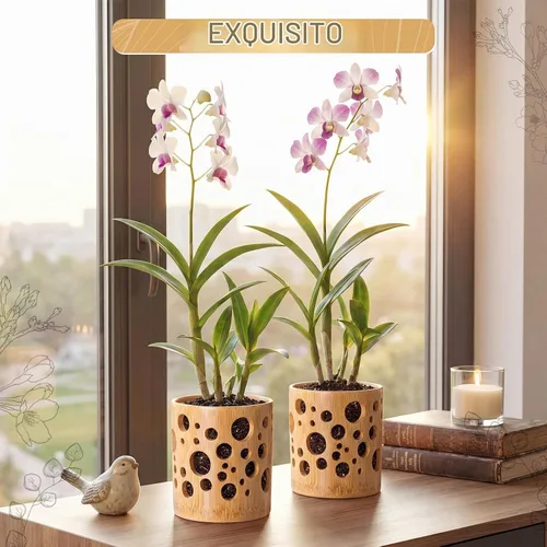 Vista 6 de Paquete de 2 macetas de bambú, maceta redonda transpirable de 4 pulgadas con diseño hueco para un flujo de aire óptimo, orquídea marrón claro