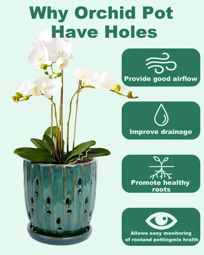 Vista 5 de Maceta de cerámica para orquídeas de 6 pulgadas con agujeros y Carrot