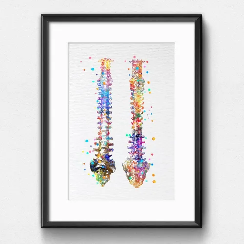 Vista 4 de Dignovel Studios 8X10 sin marco de la columna vertebral humana anatomía ósea médico médico acuarela arte impresión cartel inauguración casa giclée