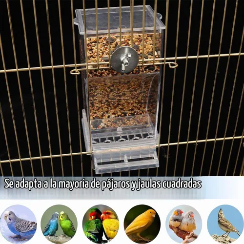 Vista 4 de Comedero para loros para pájaros, dispensador automático de jaulas, contenedor de alimentos, cuenco automático de semillas de aves para aves
