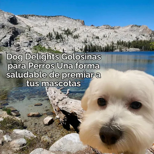 Vista 3 de Palitos de patos masticables de Dog Delights