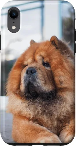 Vista 24 de Funda Chow Chow Chow para iPhone 15 Pro Max