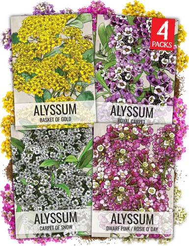 Vista 11 de Seed Needs - Semillas de Capuchina para Plantar Flores Comestibles - Juego de Colección de Mezcla Joya y Capuchinas de Doble Brillo para Atraer