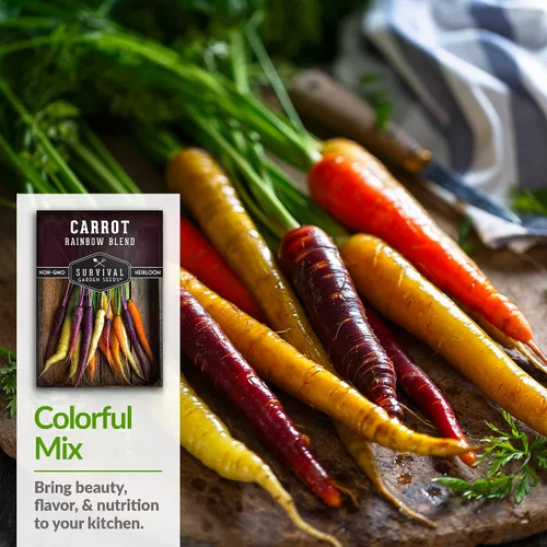 Vista 4 de Semillas de zanahoria arcoíris para plantar, mezcla colorida de reliquia que incluye zanahorias moradas, amarillas y naranjas, vegetales de jardín