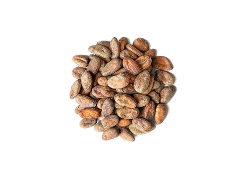 Vista 4 de Food to Live Granos de cacao orgánicos, 1 libra, sin OMG, keto, vegano, seco, a granel, rico en fibra dietética, cobre, manganeso, magnesio, zinc