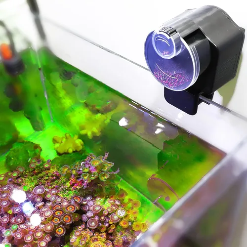 Vista 3 de Plplaaoo Comedero automático de peces para acuario Alimentador automático de peces a pilas con control de porciones ajustable Temporizador