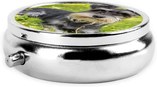 Vista 3 de Pastillero impreso Schnauzer en miniatura con 3 compartimentos, pastillero, organizador de píldoras, pastillero de viaje, bolsillo para vitaminas