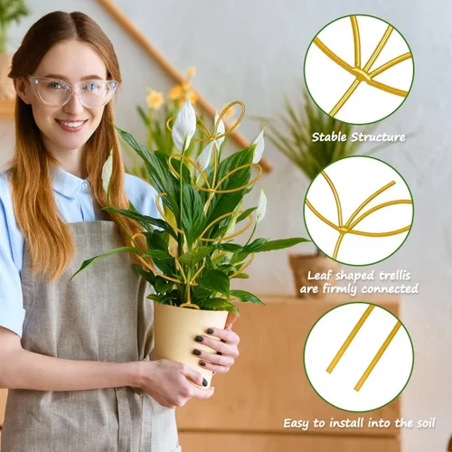 Vista 3 de 8 paquetes de enrejado de alambre de metal dorado para plantas en maceta, plantas trepadoras, amantes de las plantas de interior, Hoya, Pothos