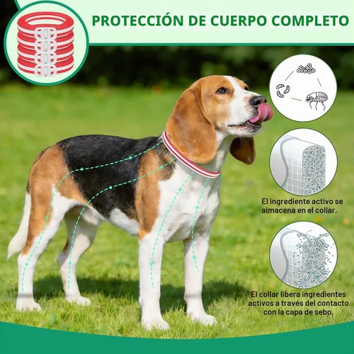 Vista 5 de Prevención de pulgas y garrapatas para perros, 4 collares antipulgas, 32