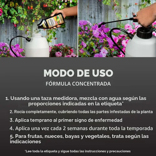 Vista 6 de Spectracide Immunox - Concentrado de aerosol fungicida multiuso para jardines de 16 onzas, protege hasta 2 semanas