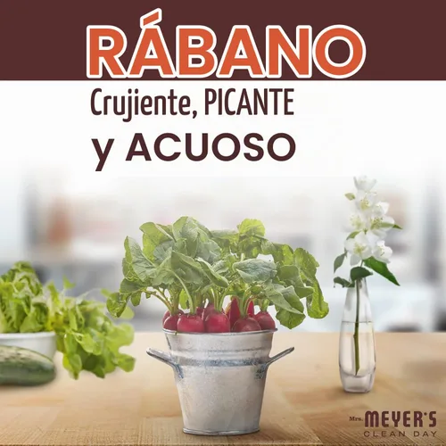 Vista 4 de Mrs. Meyer's - Detergente líquido para platos, aroma a rábanos, fórmula biodegradable, 16 fl oz