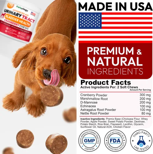 Vista 7 de Tratamiento de infecciones urinarias para perros, 170 masticables de arándano para perros, infección del tracto urinario, salud de la vejiga