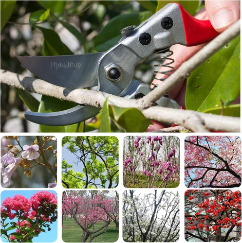 Vista 2 de Tijeras de podar con cuchillas de acero inoxidable SK5 + punta recta tijeras de jardinería tijeras de jardín tijeras de jardín tijeras