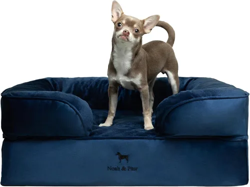 Vista 20 de NOAH & PAW Cama para perros pequeños, 20 x 15 x 8 pulgadas, cama para gatos de interior, espuma viscoelástica ortopédica de cáscara de huevo