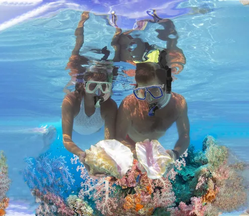 Vista 2 de Equipo de esnórquel para adultos con aletas, equipo de buceo profesional para adultos, juegos de esnórquel de viaje con aletas, máscara de buceo