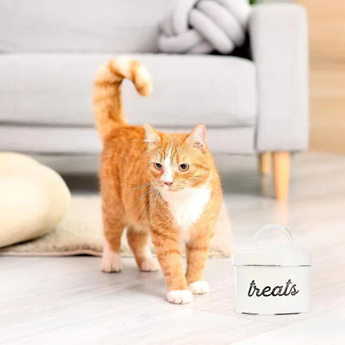 Vista 5 de AuldHome - Recipiente esmaltado para gatos, pequeño tarro rústico blanco para golosinas para mascotas