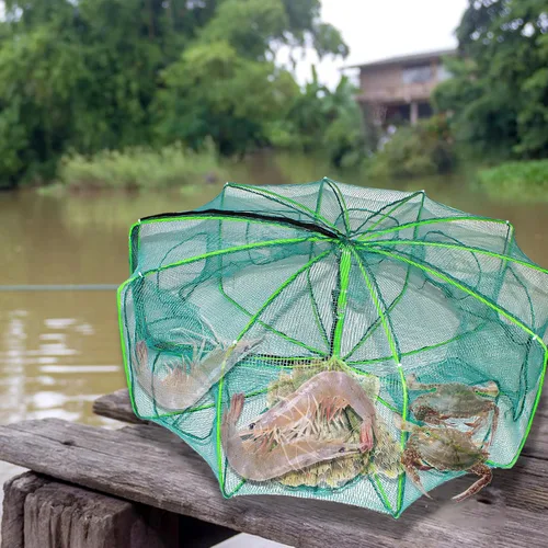 Vista 7 de Trampa de cebo de pesca de 10 lados, 10 agujeros, 32 x 10 pulgadas, redes de pesca plegables portátiles para cangrejos Minnow Crab Shrimp Crawdad