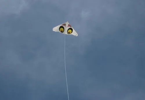 Vista 2 de Gayla Kite Skyspy