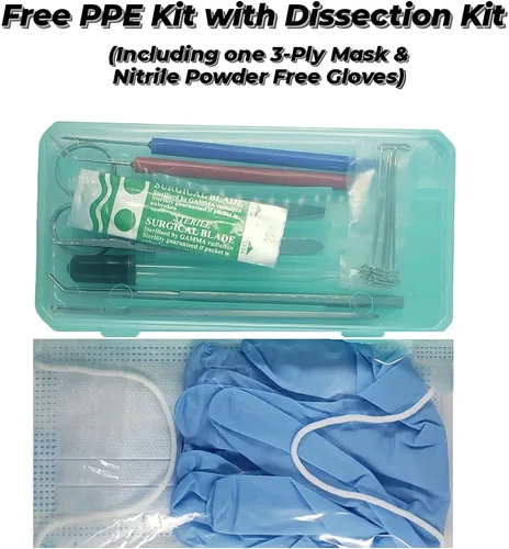Vista 4 de Kit de disección de biología de 24 piezas con herramientas de laboratorio