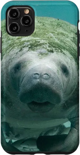 Vista 13 de Manatee Case for iPhone 17