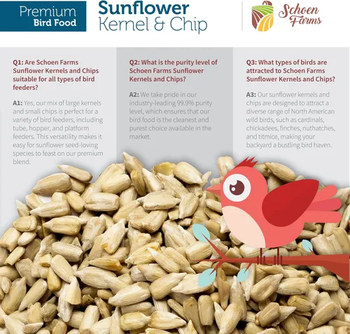 Vista 5 de Schoen Farms Granos y patatas fritas de girasol – Bolsa de 10.0 lbs – Semillas de pájaro de corazones de girasol con cáscara – Alimento sin desorden