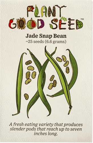 Vista 5 de Plant Good Seed Semillas de frijol orgánico ojo de tigre – Paquete de 18 semillas de frijol arbusto de reliquia para plantar verduras, suministros