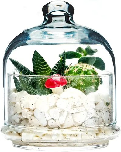 Vista 8 de The Buybox Premium - Recipiente de cristal para aguacate, cebolla, tomate y limón, para guardar alimentos, alimentos, frutas, mantequilla, queso