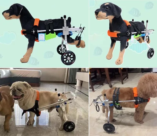Vista 2 de Silla de ruedas para perros con patas traseras para discapacitados, silla de ruedas para perros pequeños para patas traseras, carritos para perros