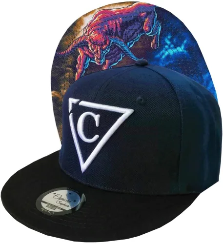 Vista 311 de Capiche - Gorra de visera plana de serie especial, talla única, unisex, hombre, más de 99 diseños