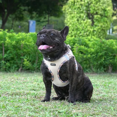 Vista 5 de AMTOR - Arnés pequeño para perro con juego de correa, arnés de paseo fácil sin escape para cachorros para entrenamiento, arnés reflectante suave