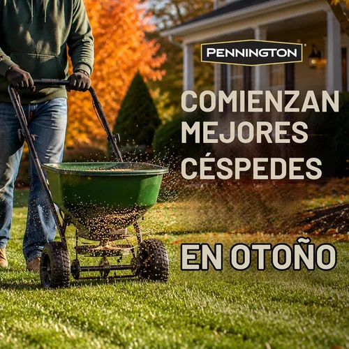 Vista 2 de Pennington Smart Seed Sun & Shade Mix - Semilla de hierba de festuca alta del sur, 7 libras