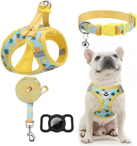 Vista 11 de Arnés para cachorros de otoño de Acción de Gracias - Collar y correa para perro - Arnés de chaleco para perros pequeños de malla suave acolchada