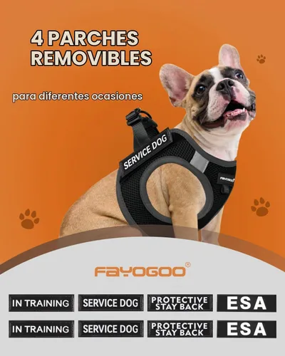 Vista 3 de FAYOGOO - Juego de chaleco de servicio para perros pequeños, arnés de malla y correa Chaleco ligero con correa y parches de identificación