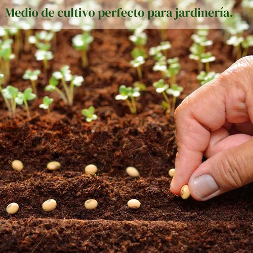 Vista 6 de ZeeDix 1 paquete de ladrillos de coco de coco, 100% orgánico comprimido de coco de fibra de coco tierra para macetas para plantas, sustrato de fibra