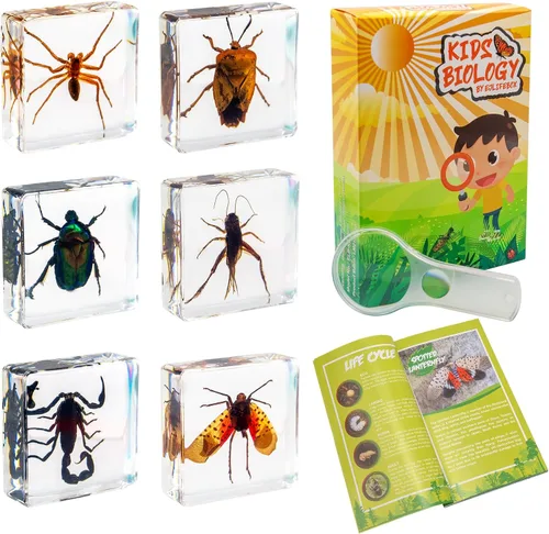 Vista 11 de Juego de muestras de insectos, colección de insectos, regalo educativo científico para niños de 3 a 8 a 12 años