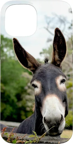 Vista 6 de Funda Donkey para iPhone 17