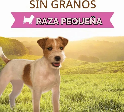 Vista 2 de Instinct Receta original de carne de res real de raza pequeña, comida natural enlatada húmeda para perros, latas de 5.5 onzas (caja de 12)