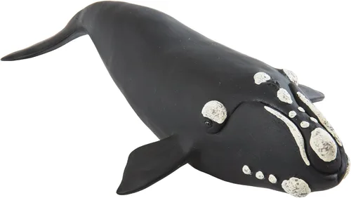 Vista 5 de Safari Ltd. Figura de ballena derecha – Figura detallada de modelo de plástico de 9.25 pulgadas – Divertido juguete educativo para niños, niñas