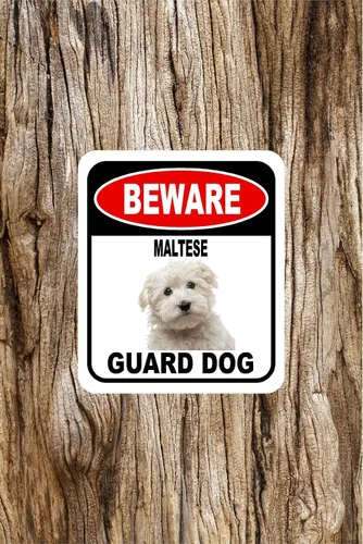 Vista 11 de BEWARE BASSETT HOUND GUARD DOG - Letrero compuesto de aluminio para exteriores, 8.5 x 10 pulgadas CUIDADO BASSETT HOUND GUARD PERRO