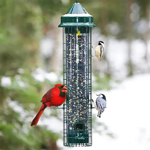 Vista 2 de Squirrel Buster Classic - Alimentador para pájaros a prueba de ardillas, con 4 puertos de alimentación, capacidad de semillas de 2.4 libras