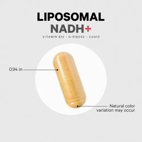 Vista 8 de Codeage Suplemento liposomal NADH+ - NADH, vitamina B12, D-ribosa como ribosa bioenergética, CoQ10-suministro de 2 meses - Entrega liposomal