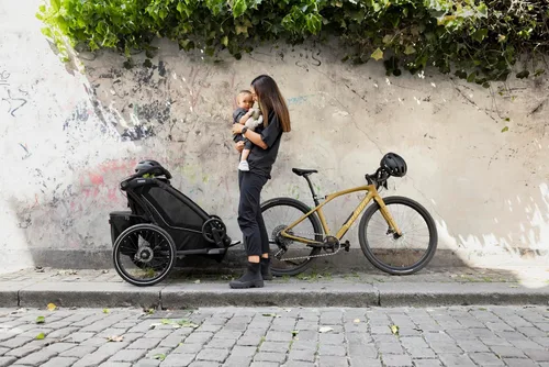 Vista 15 de Thule Chariot Sport 2
