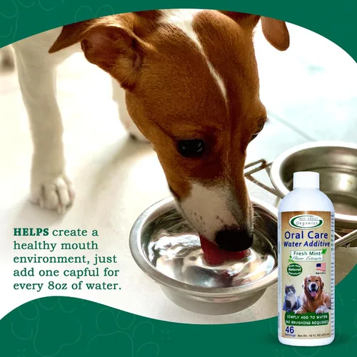 Vista 4 de Aditivo de agua para el cuidado bucal para gatos y perros, soporte dental suave, reduce los olores del aliento, promueve la salud de las encías, sin