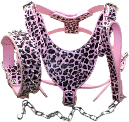 Vista 8 de Arnés para perro con tachuelas de cuero de raza, collar y correas, juego de 3 piezas para perros medianos y grandes, mastín, boxer, bull terrier