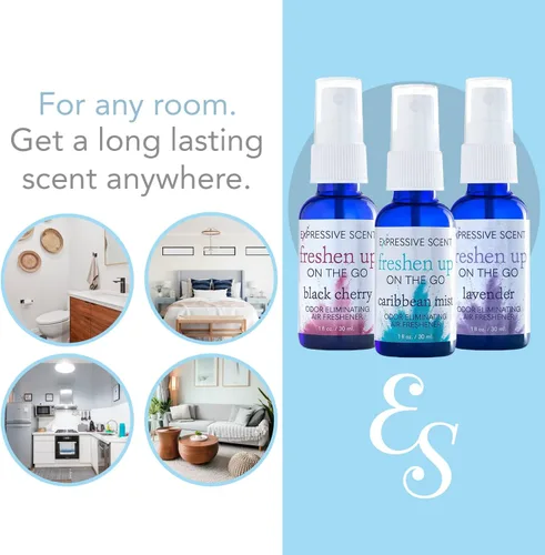Vista 5 de Expressive Scent Ambientador de aire de 1 onza para eliminar olores, perfecto para viajes y hogar, automóvil, baño, cocina, oficina (lluvia azul)