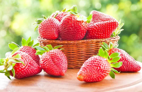 Vista 2 de Semillas Fresca Gigante Fresca - Frutas Perennes para Plantar - Sin OGM