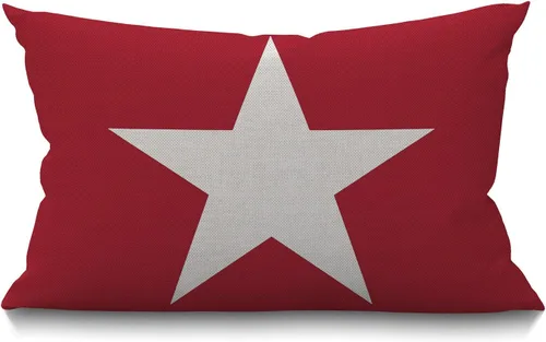 Vista 27 de Smooffly Funda de almohada de granja de playa, estrellas de mar y mares, océanos, cielo azul, conchas sobre la arena, fundas de almohada decorativas