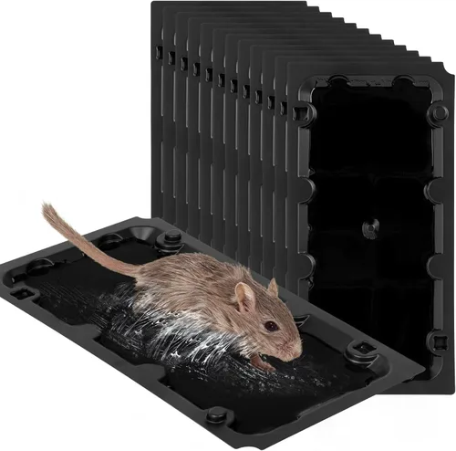 Vista 4 de Paquete de 12 trampas de pegamento grandes para ratones, trampas adhesivas